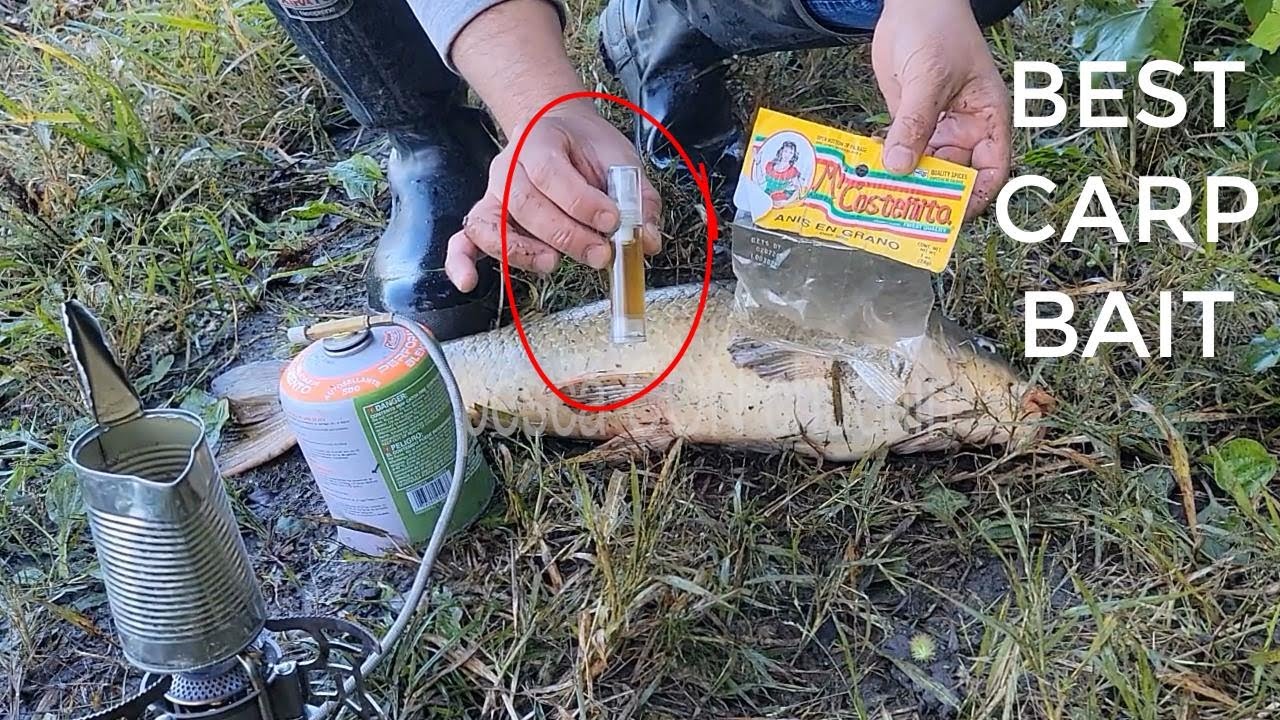 el MEJOR atrayente CASERO para pescar CARPAS!! hecho de ANIS! , best attractant for carp (ANIS)