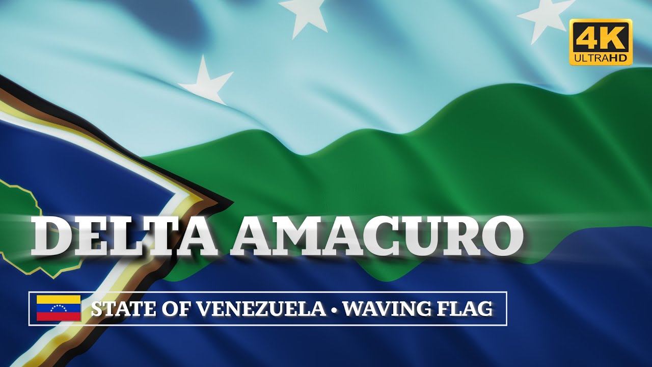 Delta Amacuro (State of Venezuela) Waving Flag  /  Дельта-Амакуро (Штат Венесуэлы). Флаг [4K]