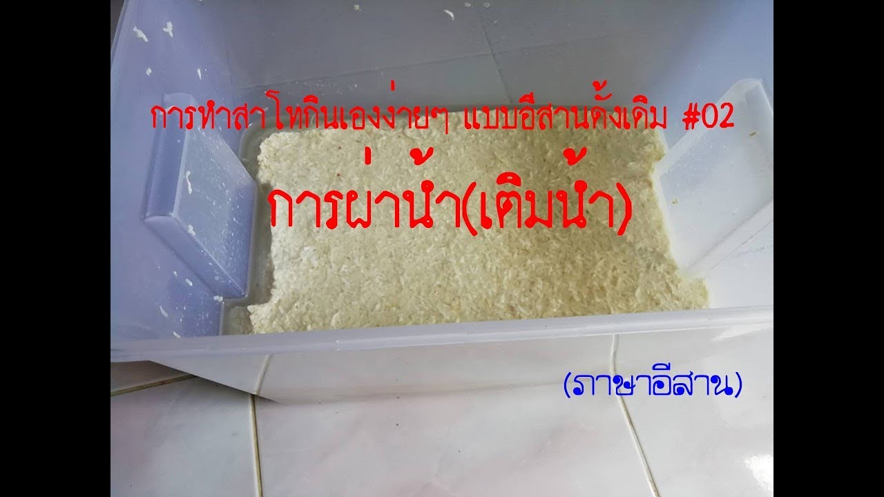 การทำสาโทกินเองง่ายๆ แบบอีสานดั้งเดิม #02 การผ่าน้ำ(เติมน้ำ) (ภาษาอีสาน)