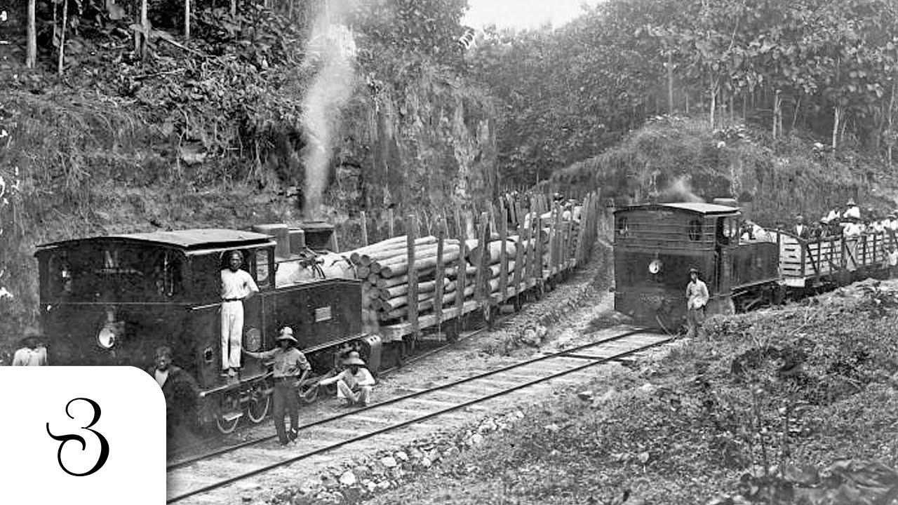 Perkebunan & Pengolahan Jati Jawa tahun 1949 - Indonesia Tempo Dulu [ID SUB]