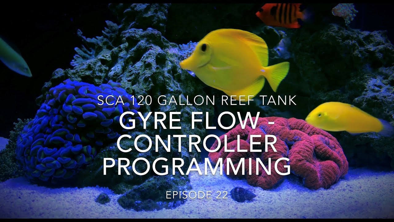 SCA 120 Gallon Reef | Эпизод 22 | Gyre Flow — Руководство по программированию контроллера