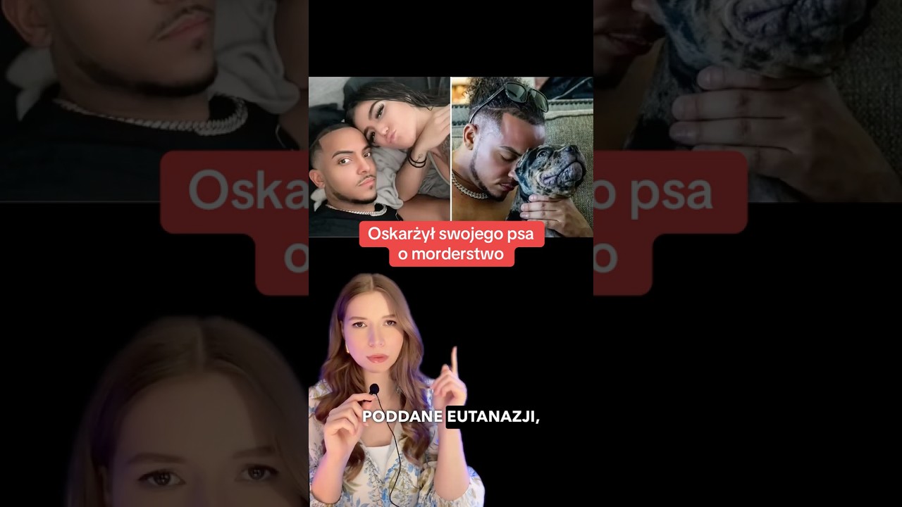 Oskarżył psa...⚠️ #zagadkikryminalne #karolinaanna #sprawykryminalne #truecrime