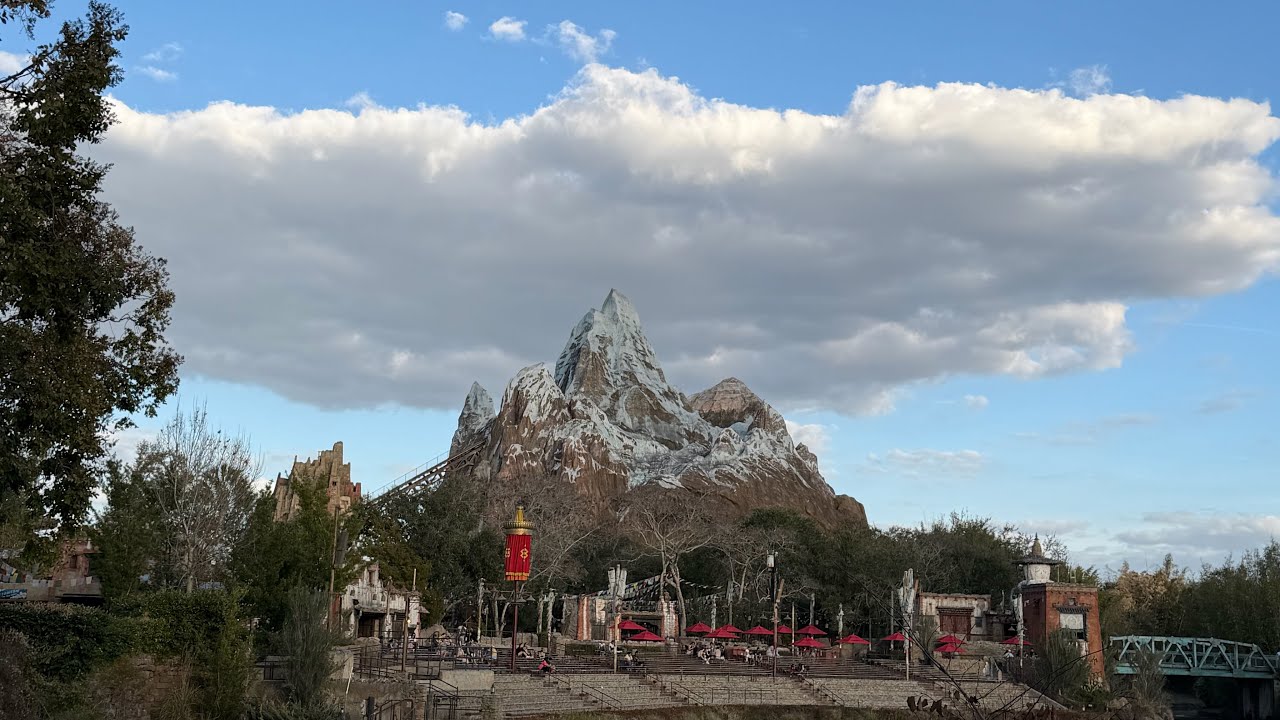 Animal Kingdom in Orlando (Feathered Friends in Flight) #orlando #animalkingdom #kidsactivities 