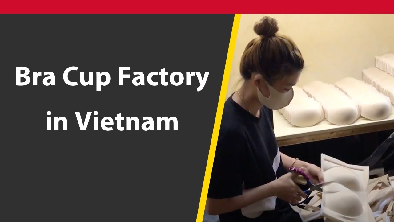 Lingerie Bra Cup Factory in Vietnam