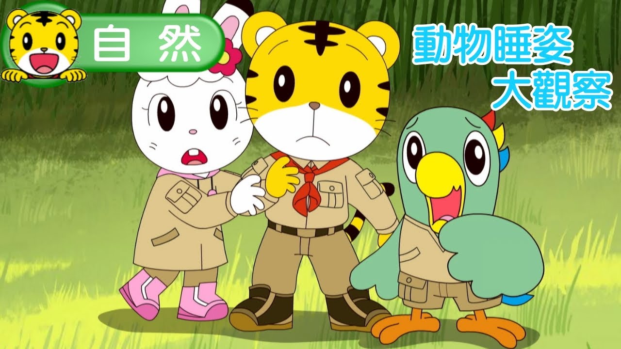 2025年3月號快樂版【自然大驚奇】動物睡姿大觀察