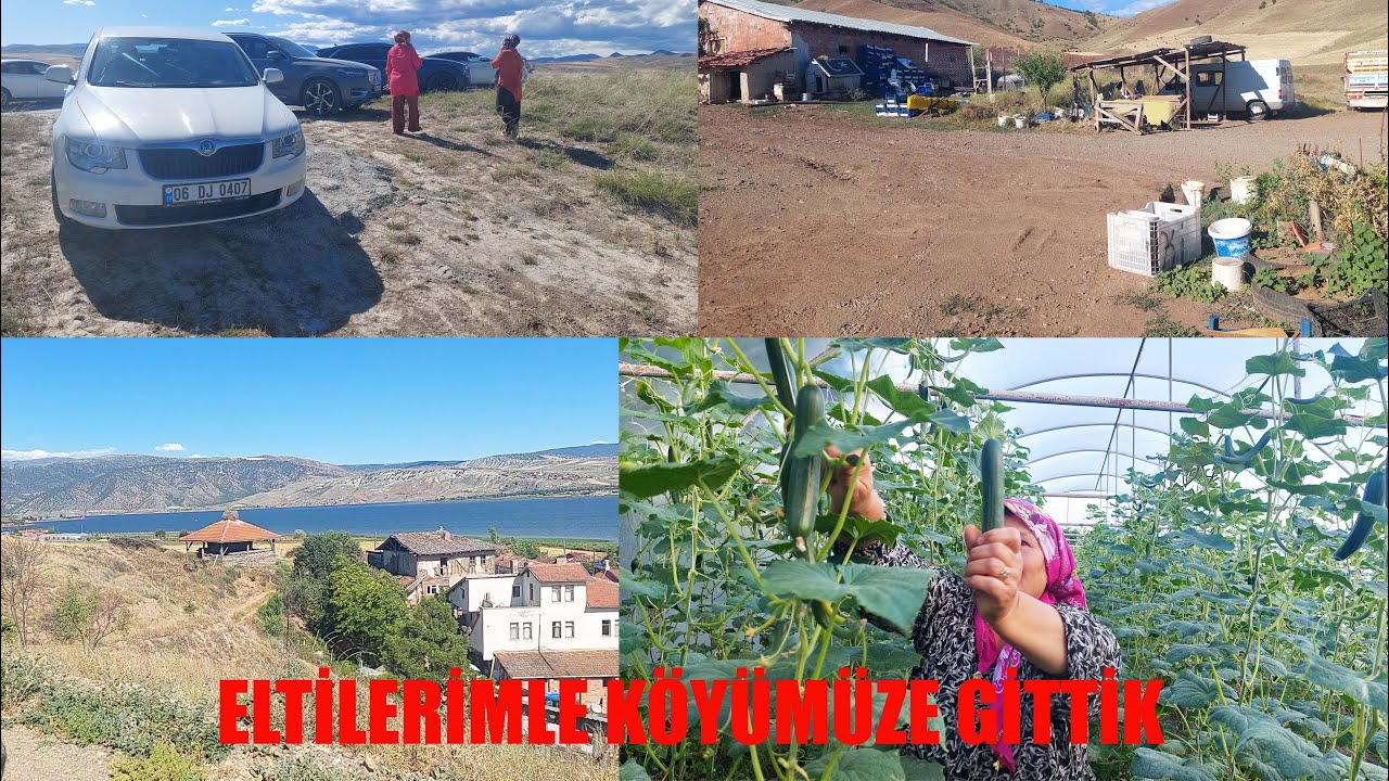 ELTİLERİMLE BİRLİKTE GEZMEYE KABİR ZİYARETİ VE SERADA SALATALIK HASATI YAPTIK