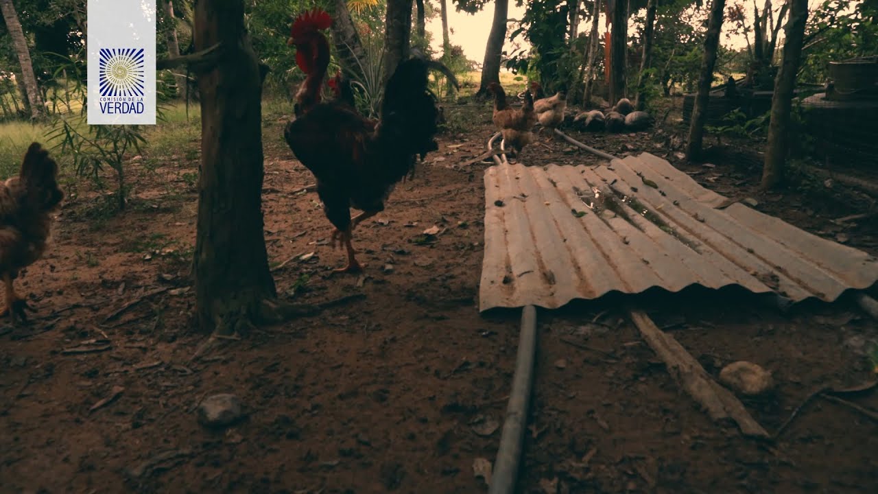 La masacre invisible de San Pedro de Urabá