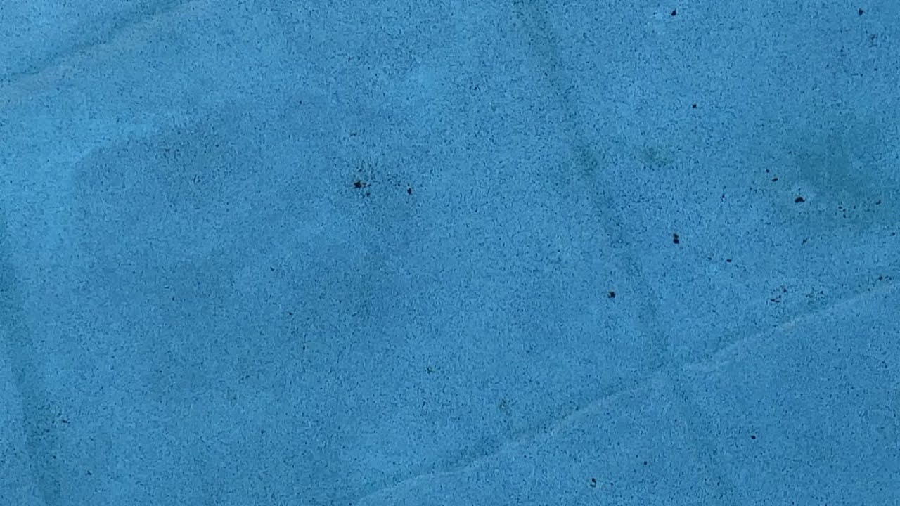 How to Remove Black Spots from Pool's Bottom