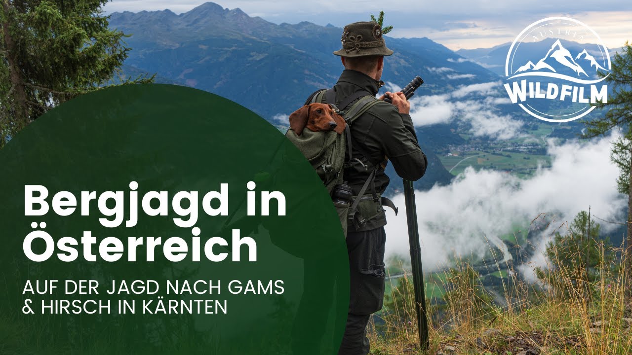 Bergjagd in Österreich, auf der Jagd nach Gams und Hirsch in Kärnten