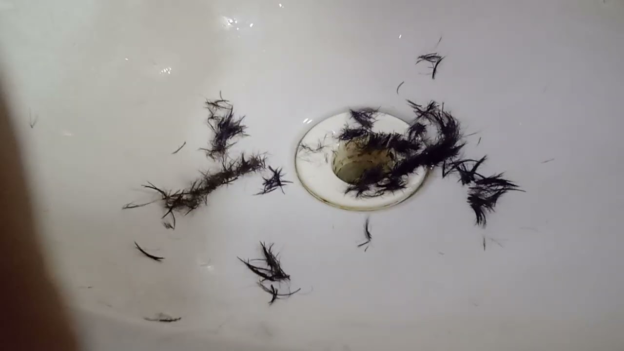 Black hole add round 1