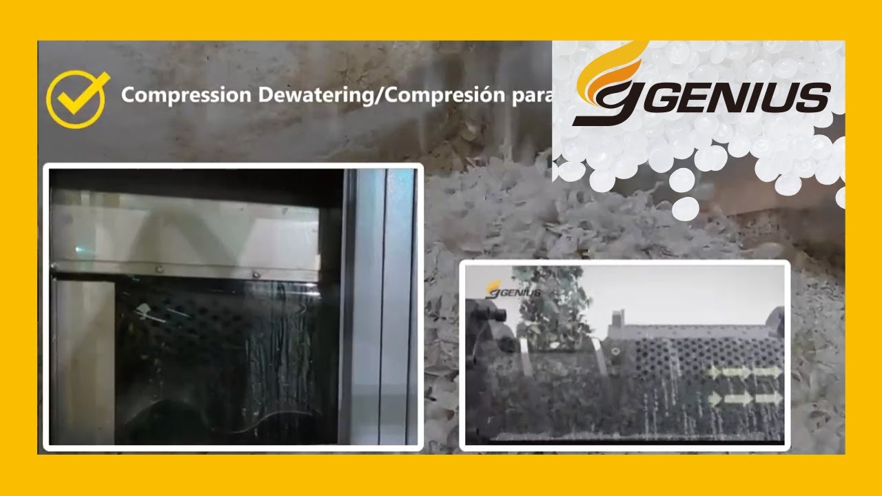 Plastic Squeeze Dryer Working Process｜Reduce Moisture Below 1% - Genius Machinery