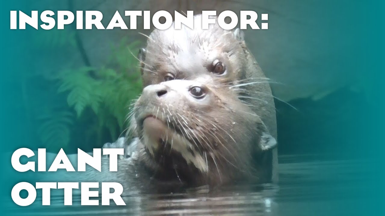 6 Real Giant Otter Habitats! (Planet Zoo Inspiration)