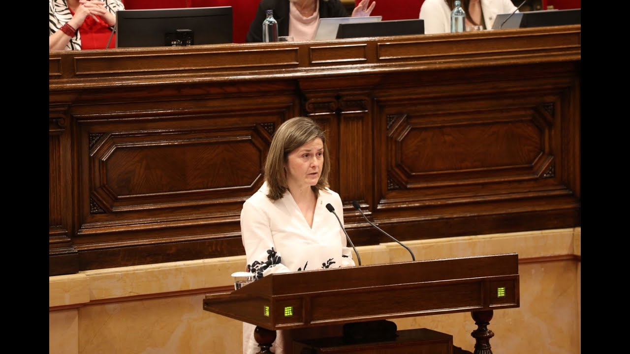 Debat i votació de la llei sobre l'aranès a les escoles (19/04/2023)