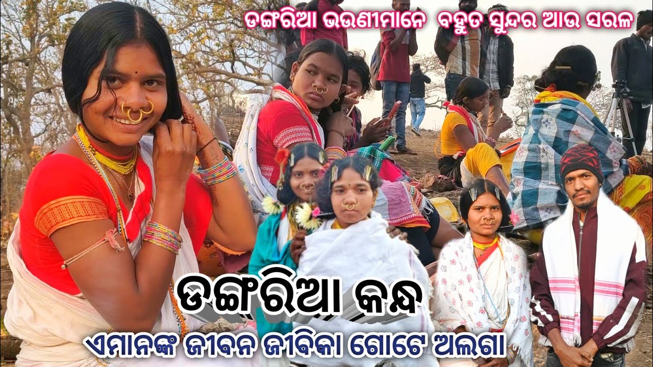 ଡଙ୍ଗରିଆ କନ୍ଧ ଆଦିବାସୀ ମାନଙ୍କ ଜୀବନ ଜୀବିକା । Lifestyle Of Dangaria Kandh । Niyamgiri Hill Festival 
