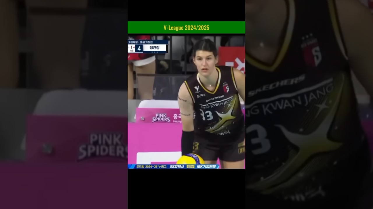 Ace Bukilic vs Pink Spiders | V-League 2024 R3