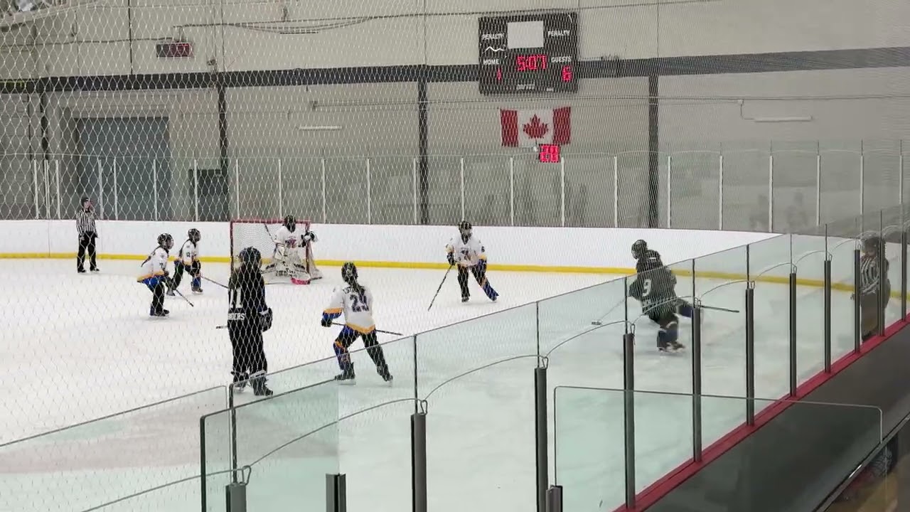 37 02282026 Whitby Wild P2