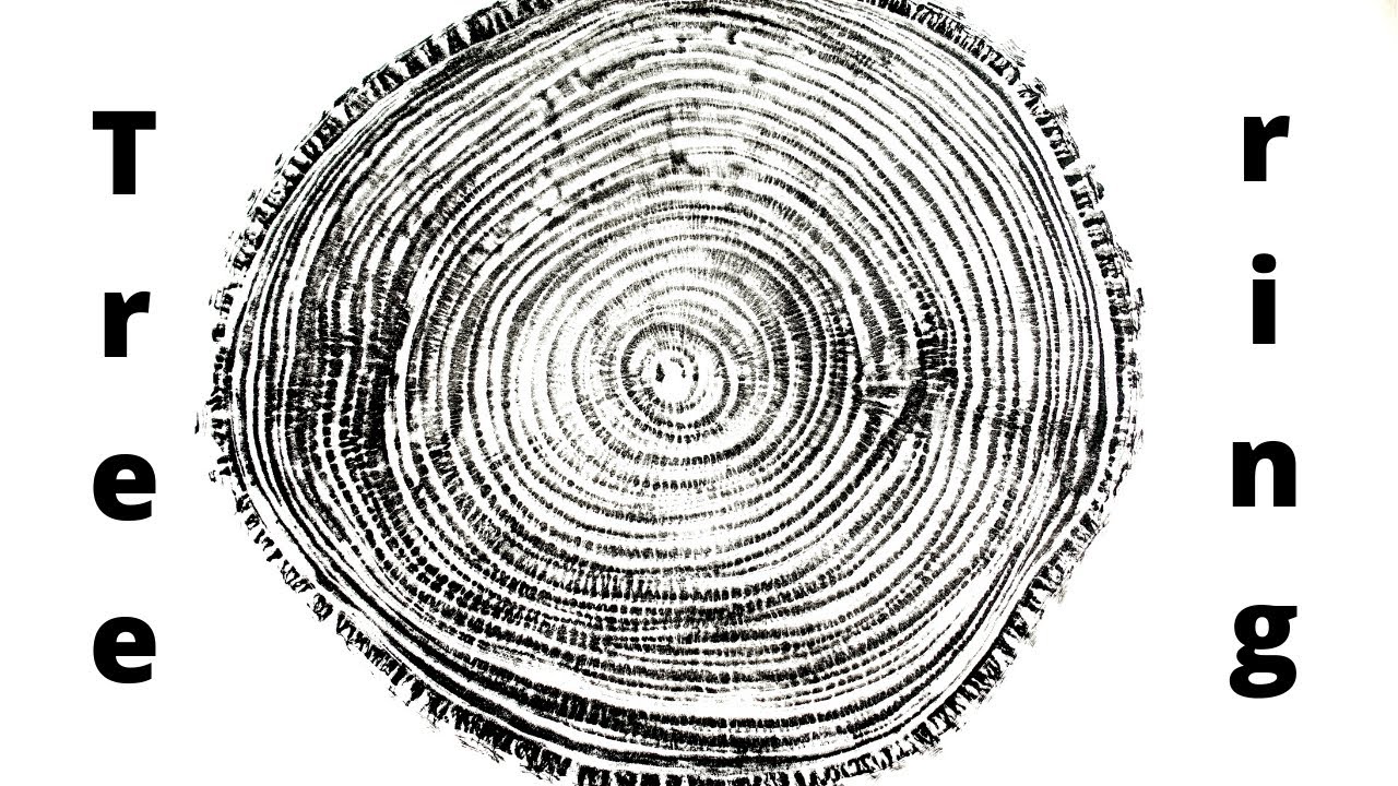 Tree ring print from a Linden tree