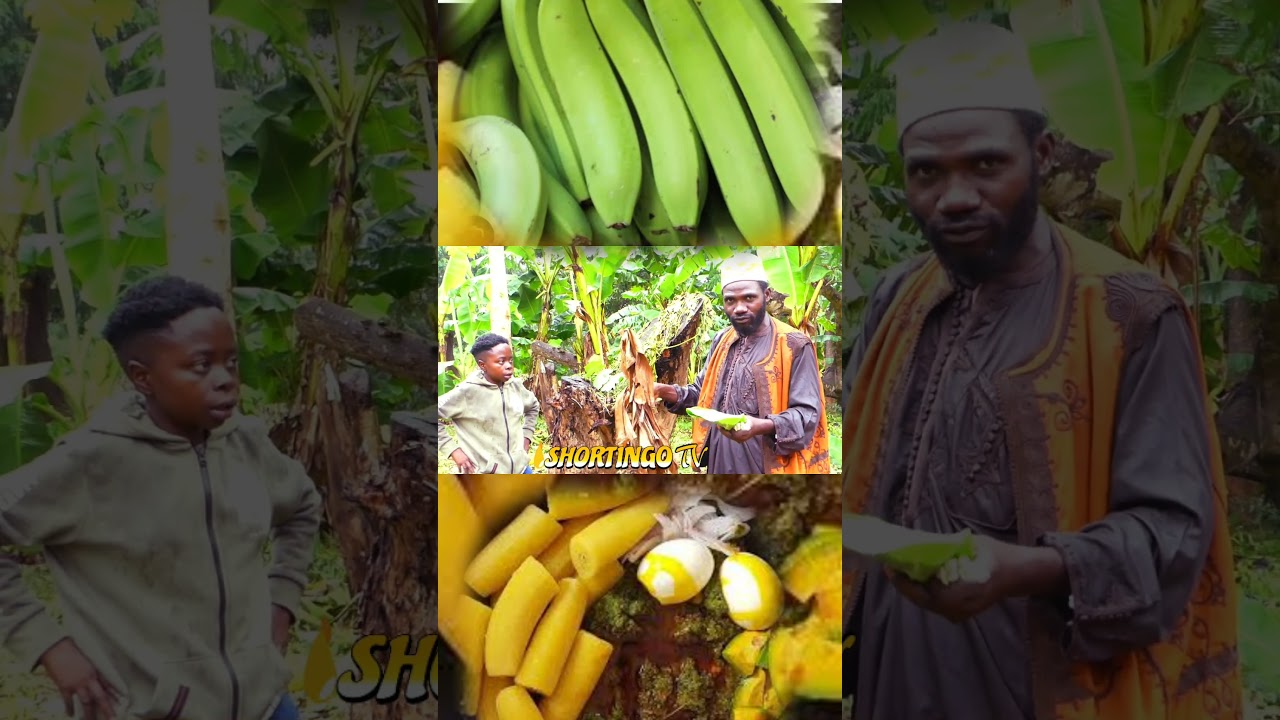 Привлеките своего будущего мужа с помощью Plantain
