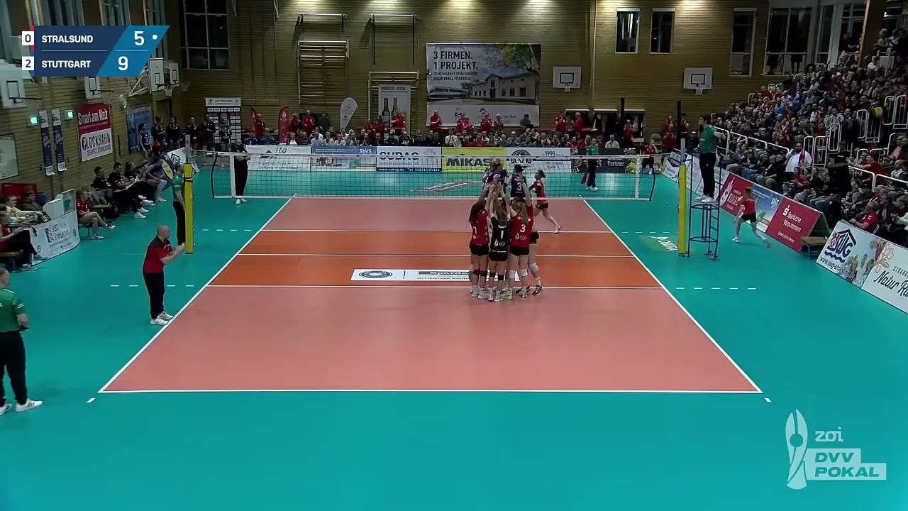 Sparkassen Wildcats Stralsund - Allianz MTV Stuttgart