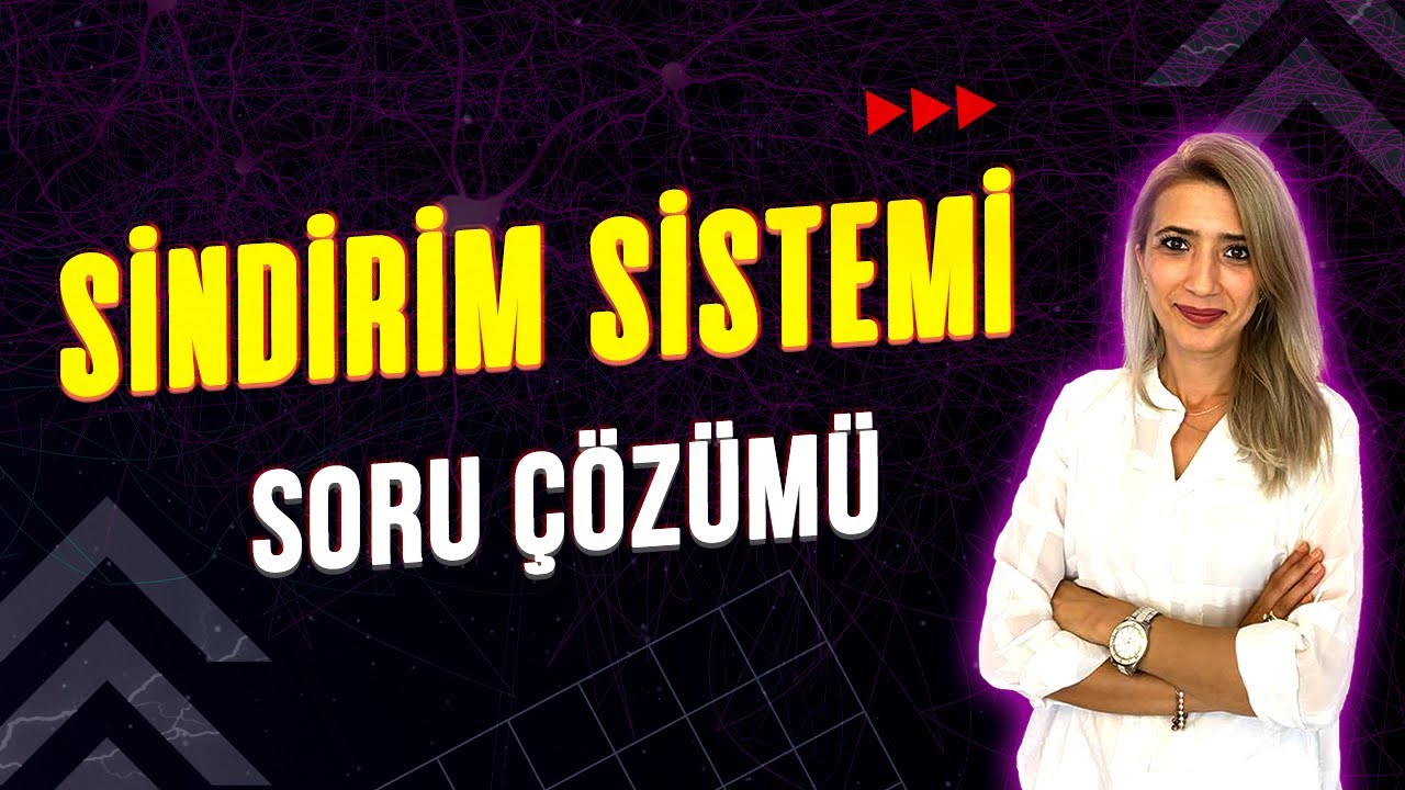 SİNDİRİM SİSTEMİ💯 SORU ÇÖZÜMÜ l Seda Hoca Biyoloji #ayt2023
