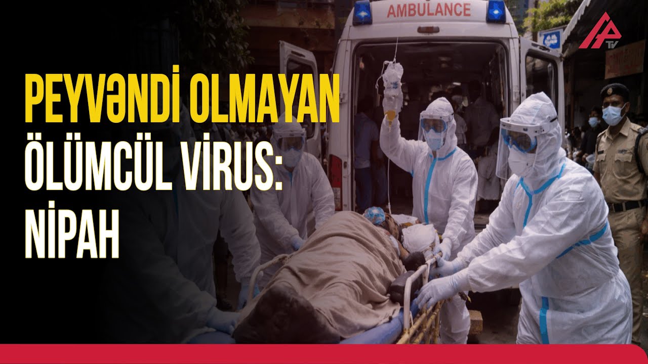 ÜST-dən xəbərdarlıq: Nipah virusu təhlükəsi artır | APA TV