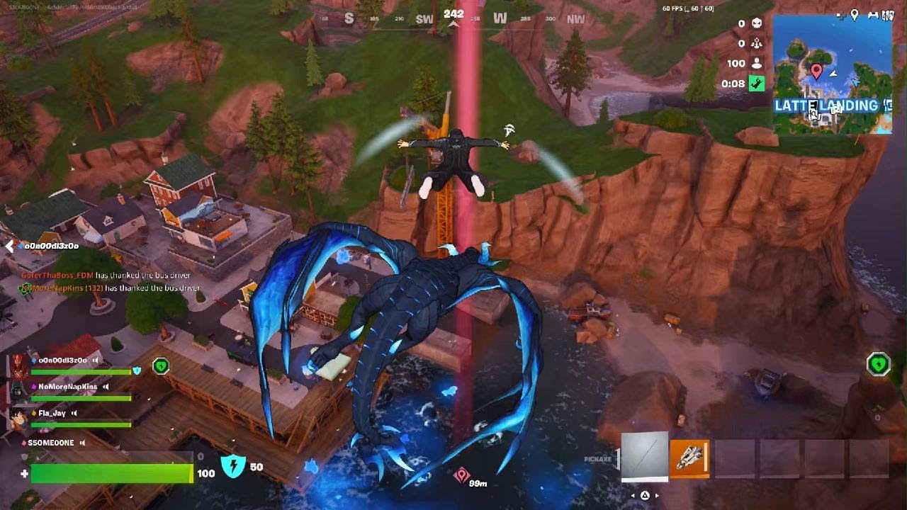 Fortnite W
