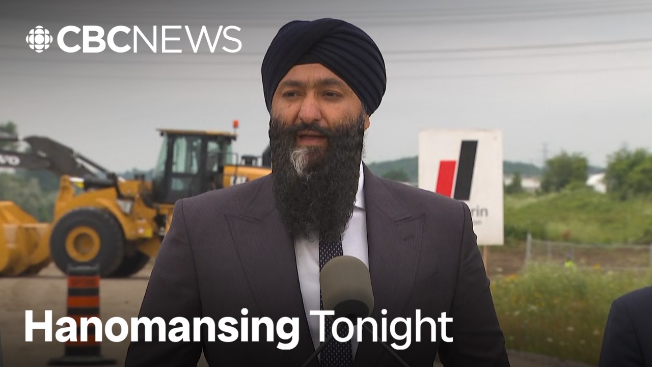 Ontario rethinks high-speed rail support after Billy Bishop rejection | Hanomansing Tonight