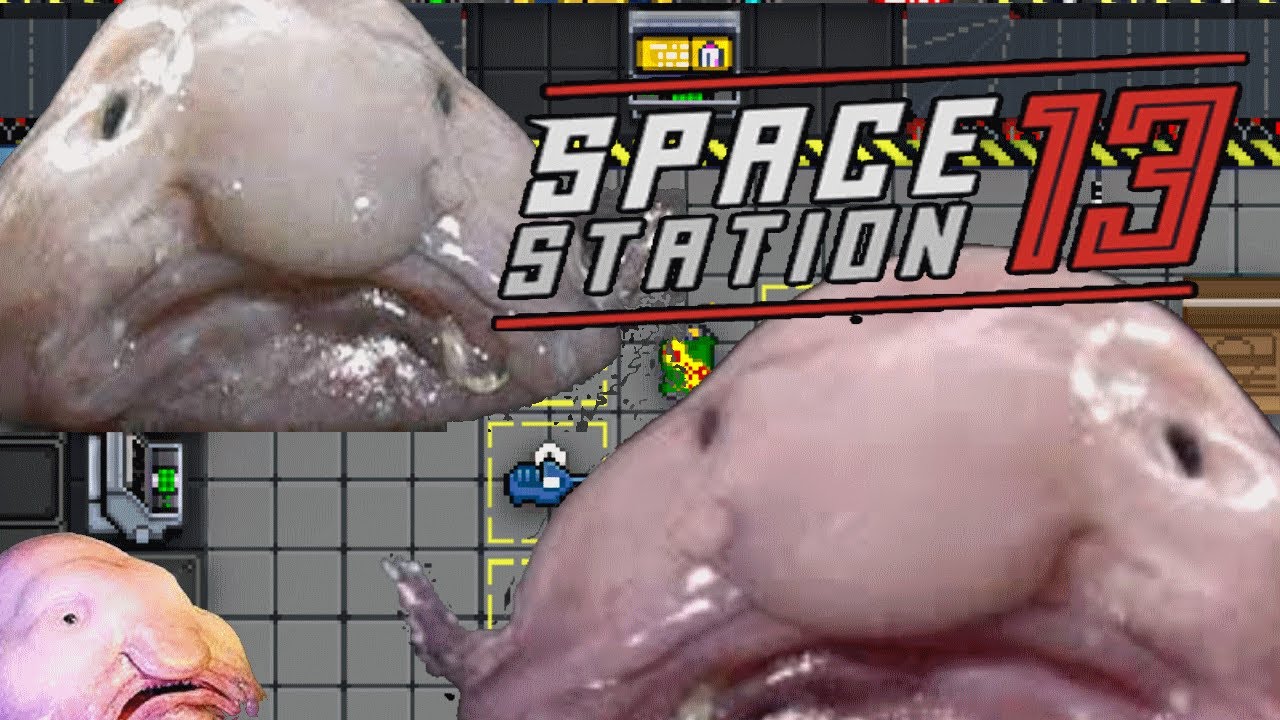 THREE BLOBS, ONE STATION | SS13