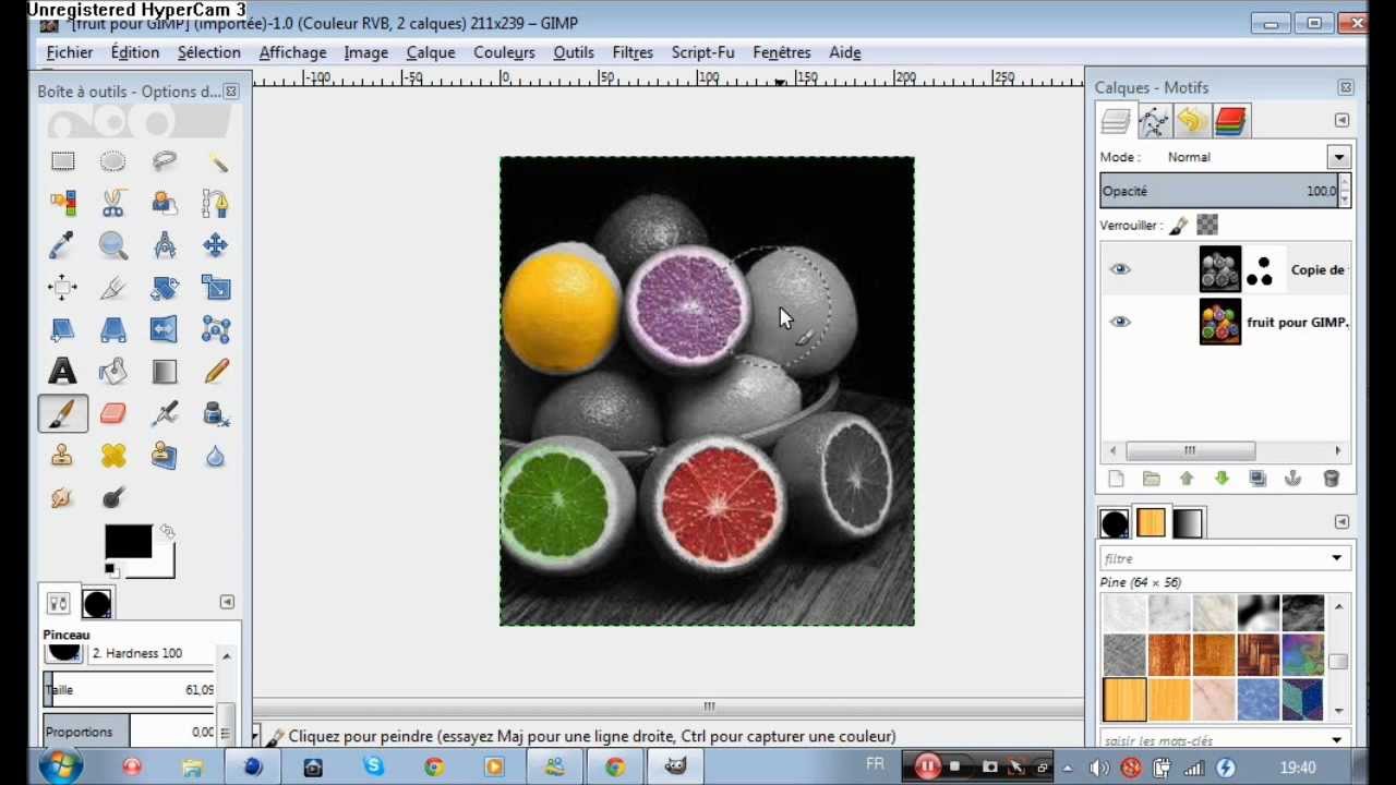 colorier qu'une seule section sur une image avec GIMP