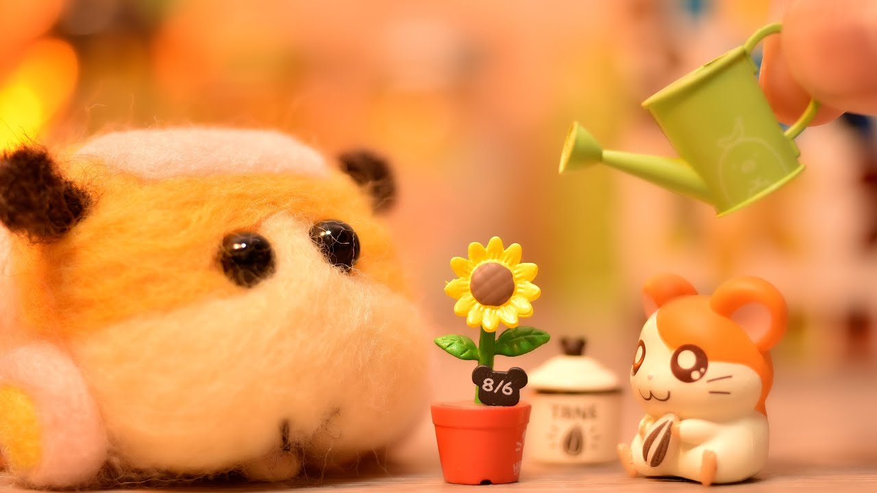 Pui Pui Molcar & Hamutaro