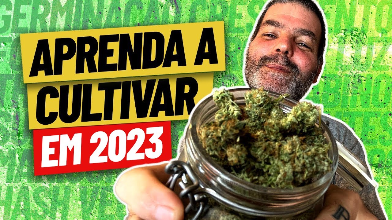Como PLANTAR MACONHA e NUNCA MAIS Comprar