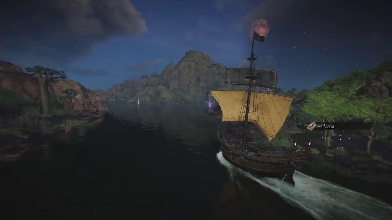 Skull and bones