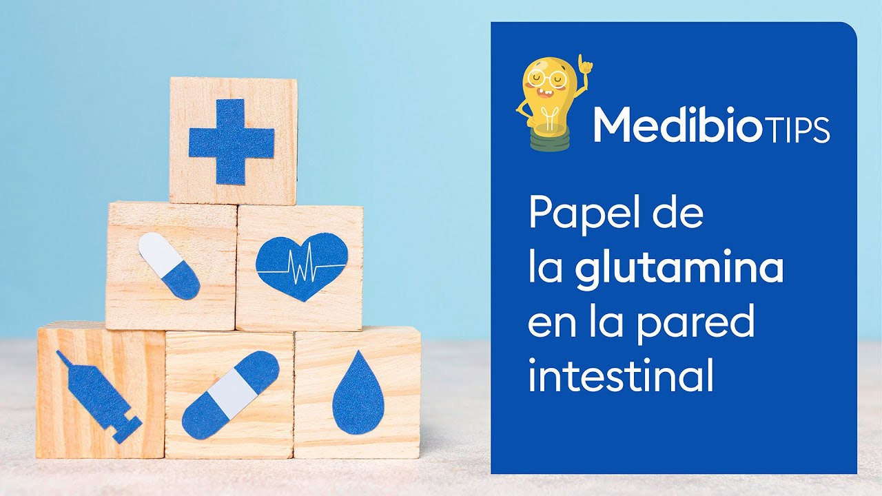 Medibiotips:  Papel de la glutamina en la pared intestinal