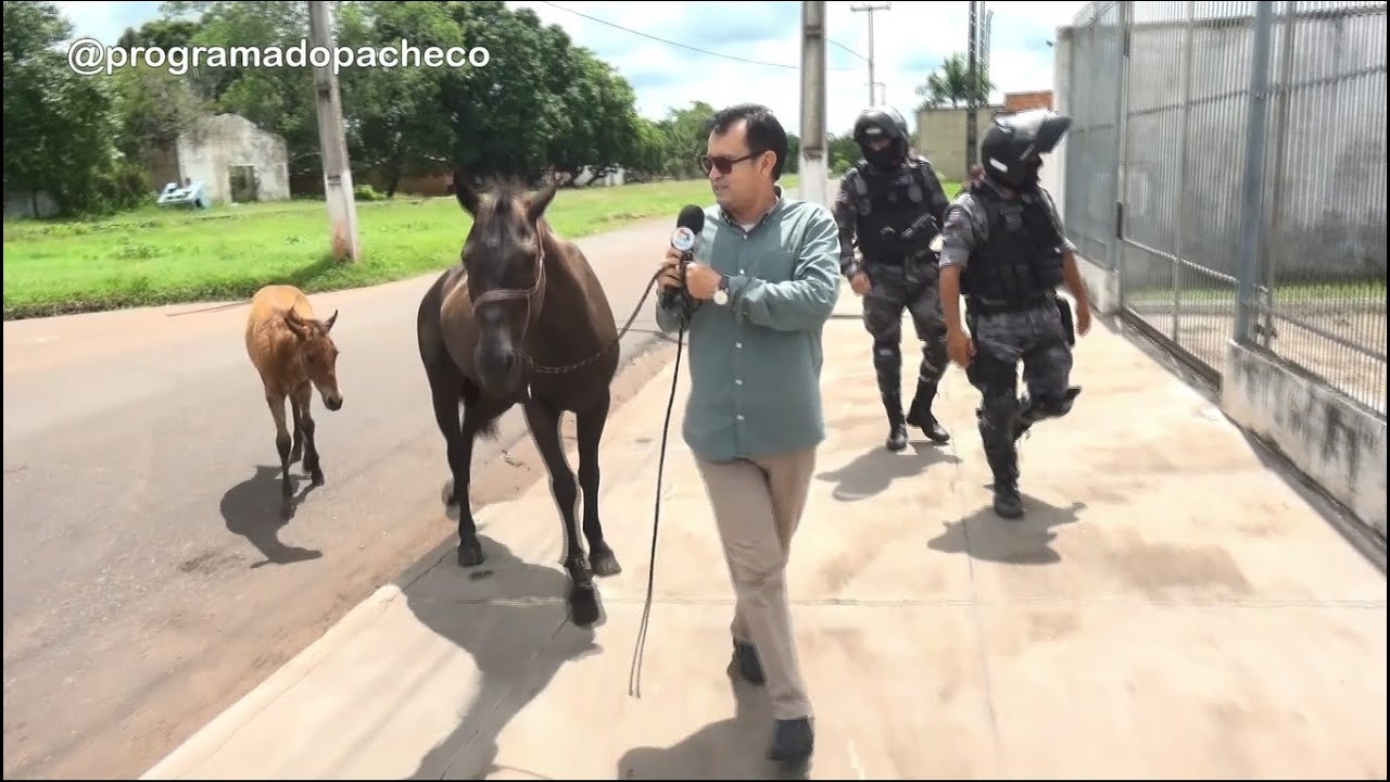 CIGANAS SÃO ACUSADAS DE FURTAR ANIMAIS EM COROATÁ E O CASO VAI PARAR NA DELEGACIA.