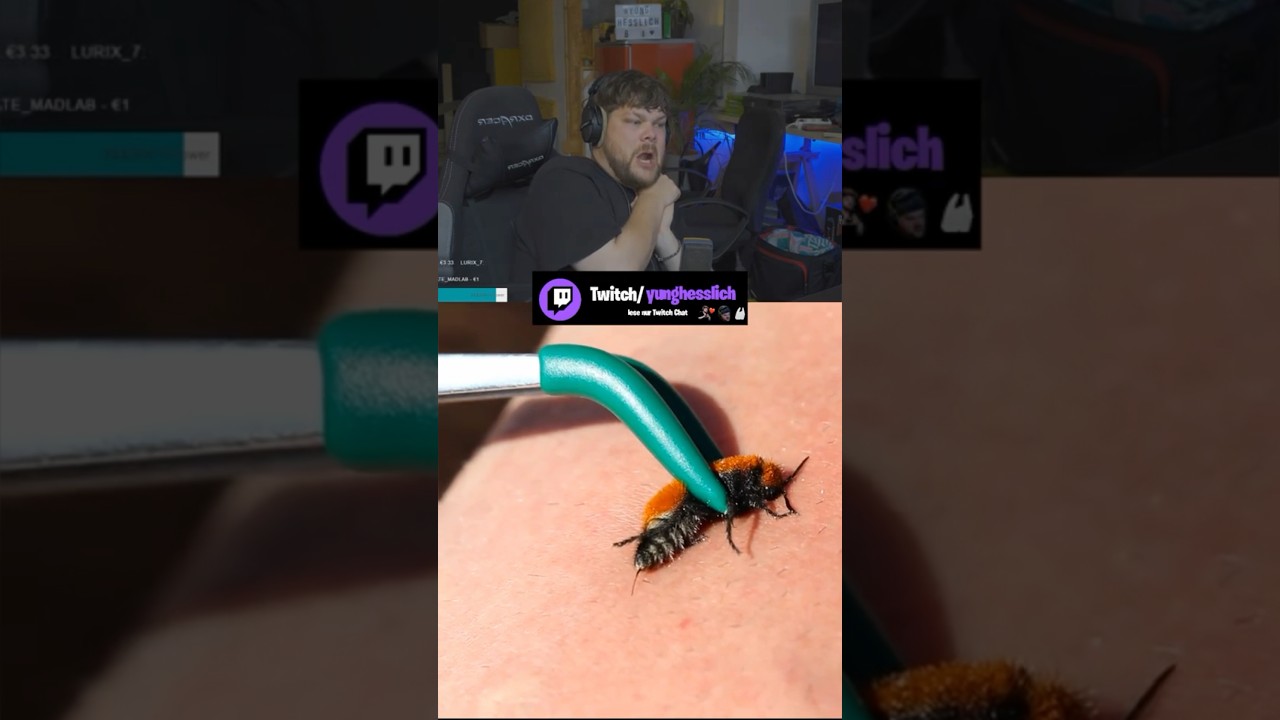 T&Ouml;DLICHER STICH? #clips #streamer #twitch #yunghesslich #stich #cowkiller #hornets #viral #risk