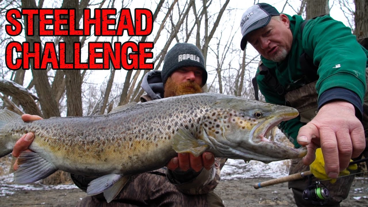 Steelhead Fishing in Milwaukee