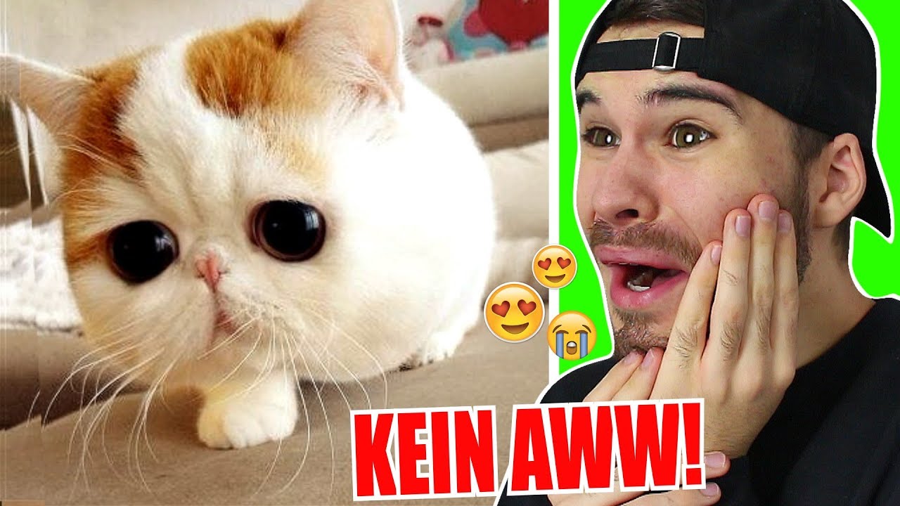 Wenn du AWW SAGST hast du VERLOREN!! (Schwerste Challenge)