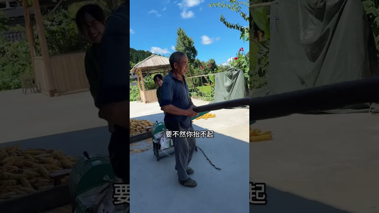 现在知道我名字的由来了吗  #我的乡村生活 #记录真实生活 #玉米丰收了 #农村邻里关系 #乡村美食