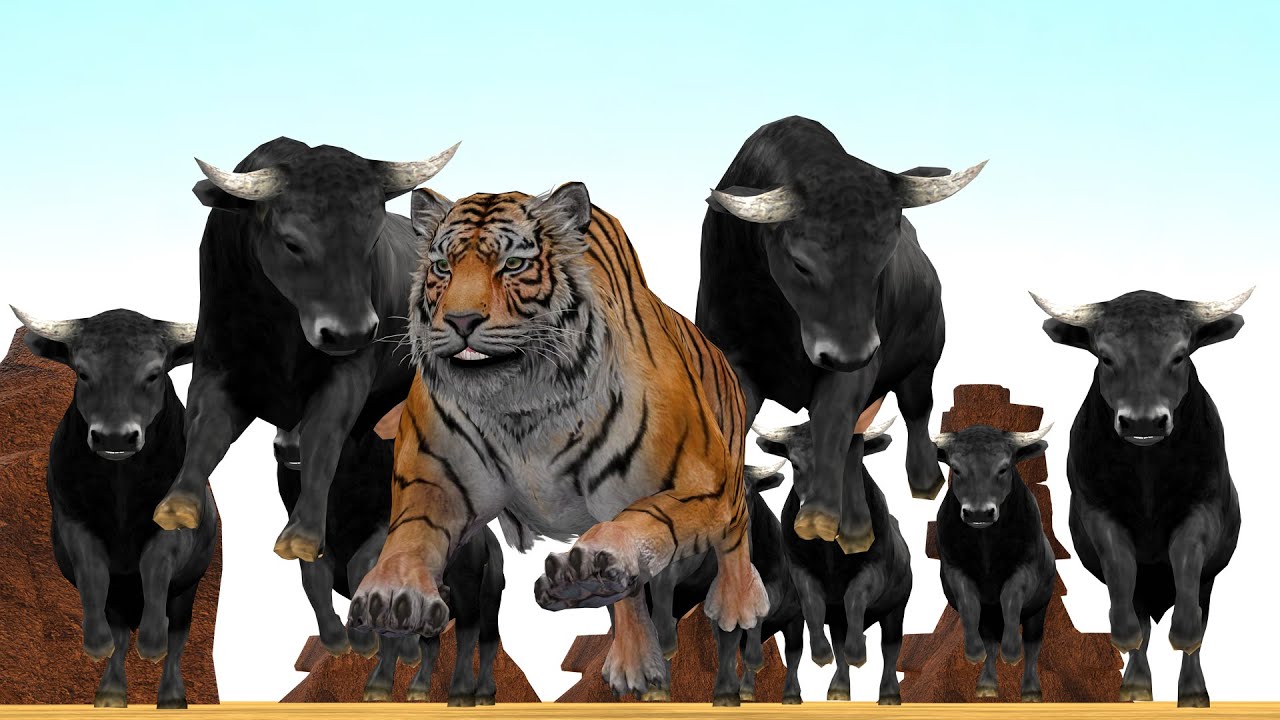 Giant Tiger vs Giant Bulls Fight Tiger Saved By Gorilla Wild Animal Fights Animal Revolt Epic Battle