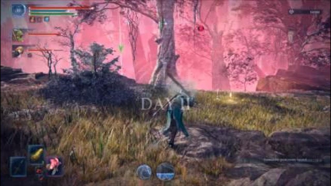 Absurd Damage pt 1