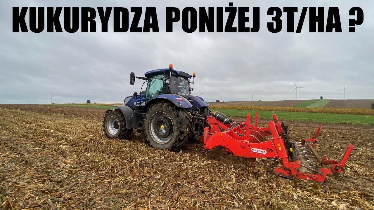 USŁUGA PŁUGIEM DŁUTOWYM - DLACZEGO WYKONUJĘ TAK DROGI ZABIEG ?