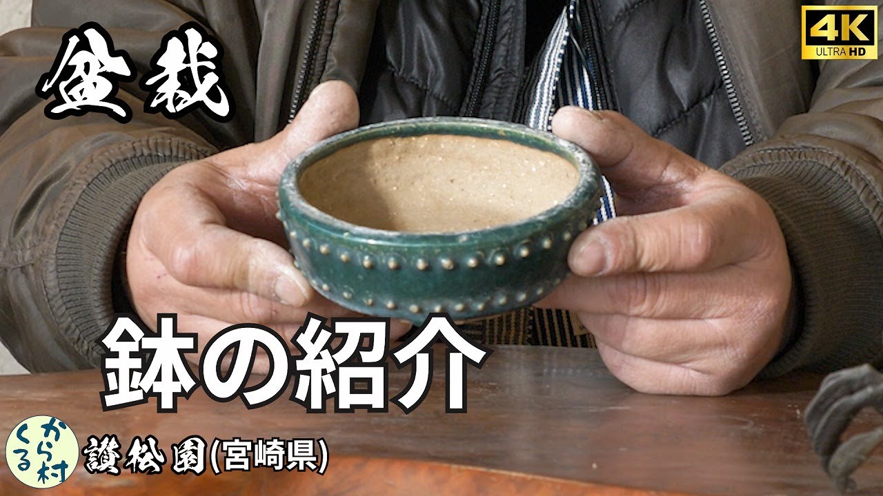 【盆栽】鉢の紹介