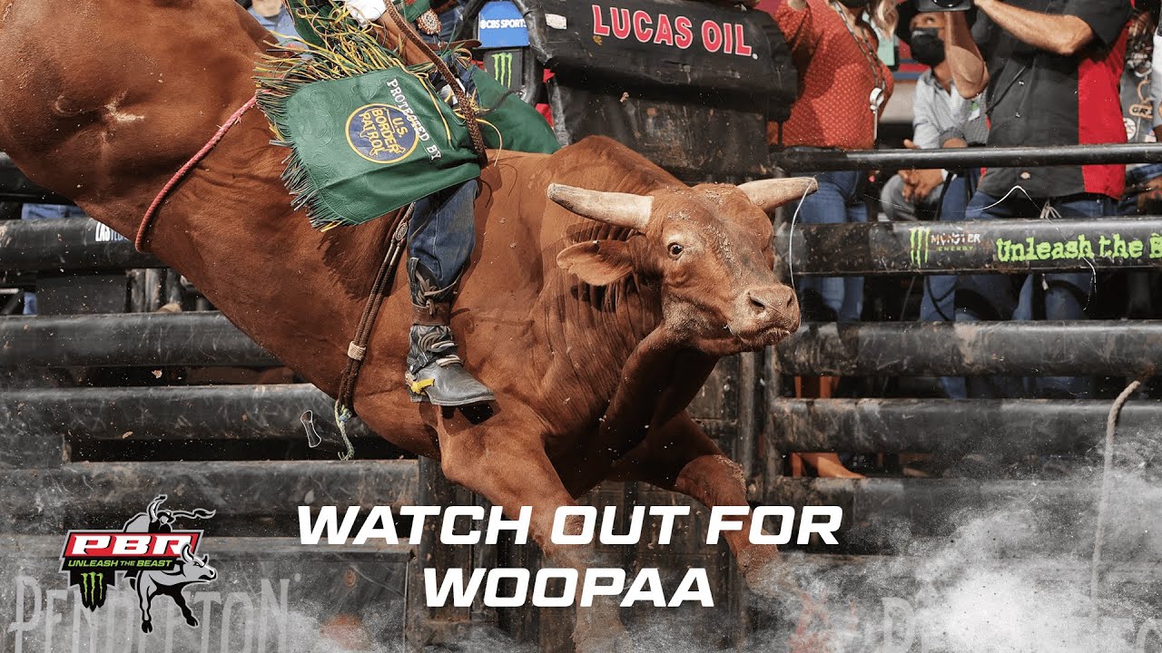 Watch Out For Woopaa! New #1 Bull 🥇