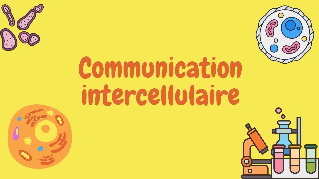 Communication intercellulaire partie 01 🦠🧫