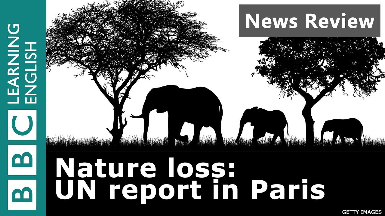 Nature Loss: UN Report in Paris: BBC News Review