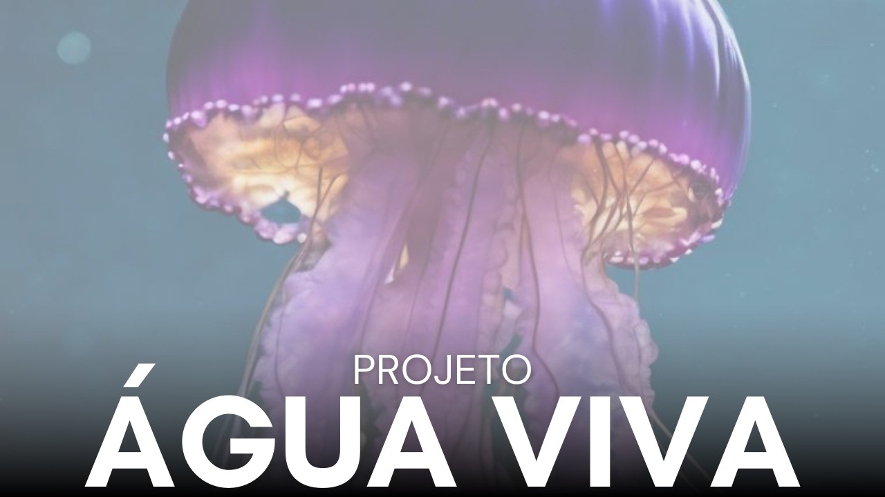 Água Viva Livro A Sindrome da Boazinha Encontro 1