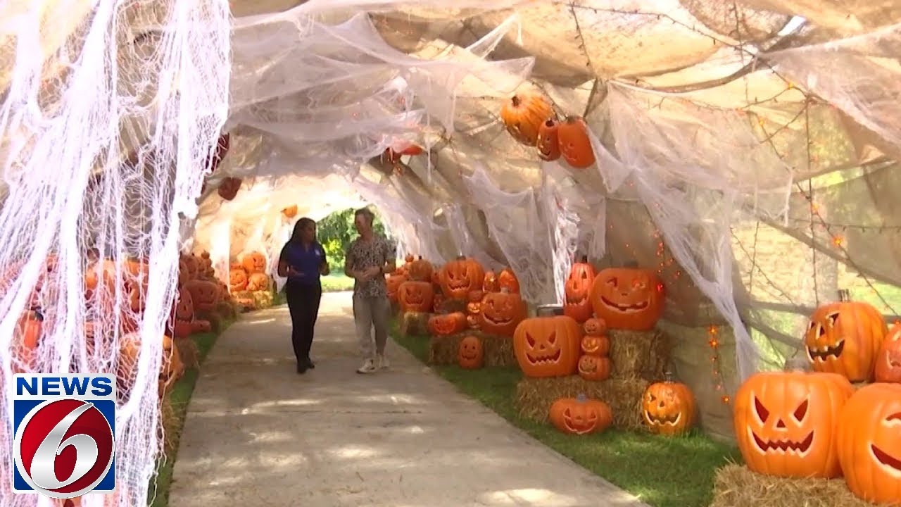 Explore immersive Halloween-inspired worlds at Orlando's Leu Gardens
