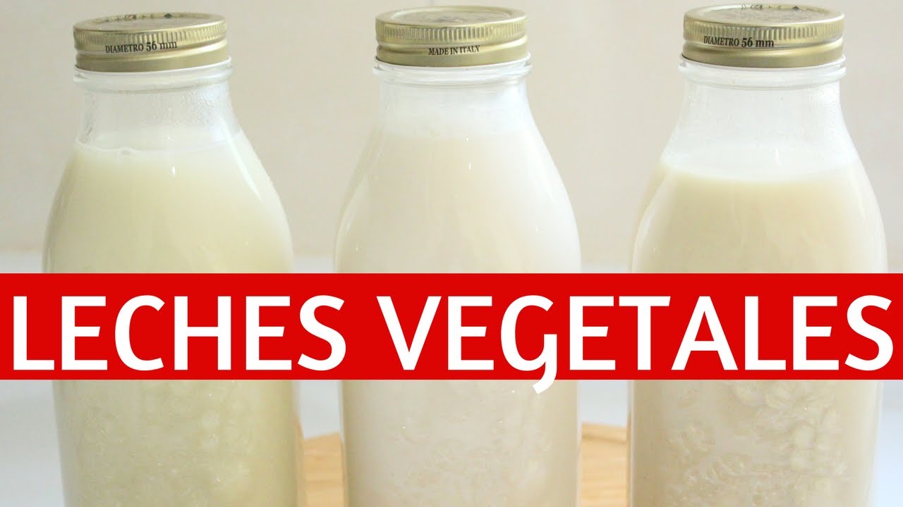 ¡TIPS LECHES VEGETALES NO VISCOSAS, AVENA, QUINOA, ARROZ INTEGRAL! - Transición vegana