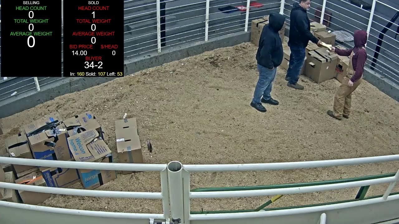 Everson Auction Market Live Stream 2/23/2026