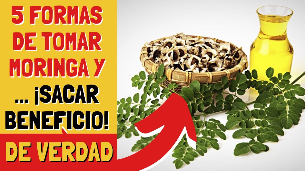 5 FORMAS de TOMAR MORINGA y (Sacar Beneficios) 🌿 Video Exclusivo